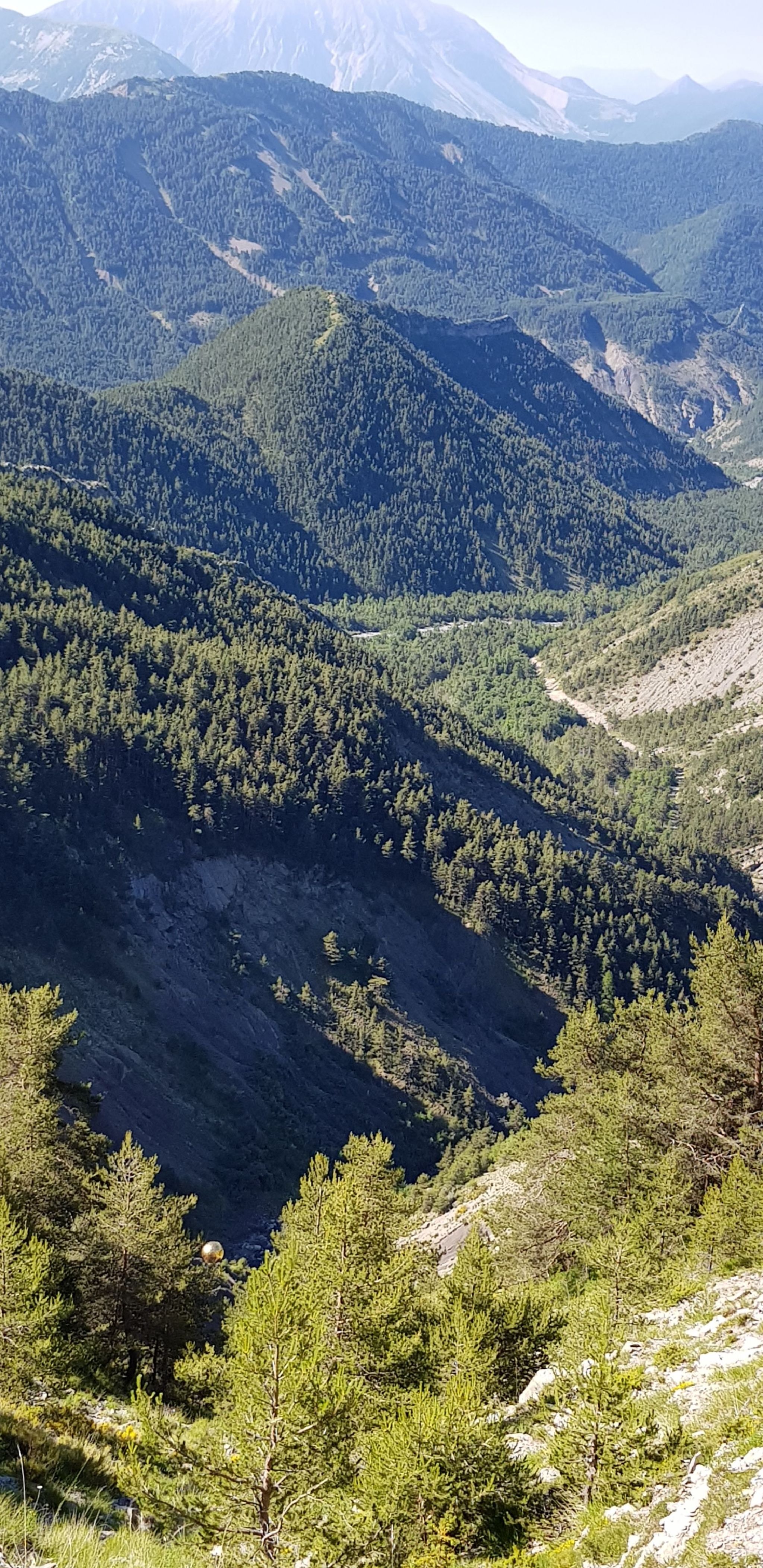 Randonnée Marche à Le 04 Le Circuit des 3 cabanes SityTrail