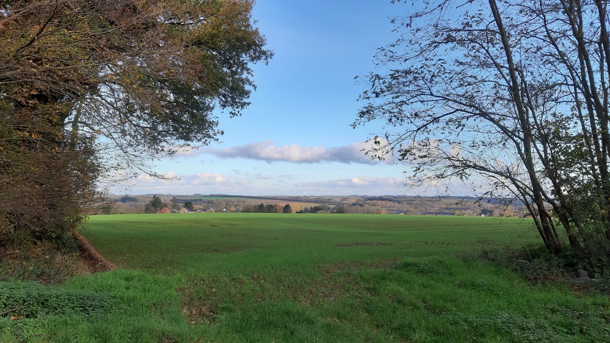 Randonnée Marche à Wanze promenade des vias SityTrail