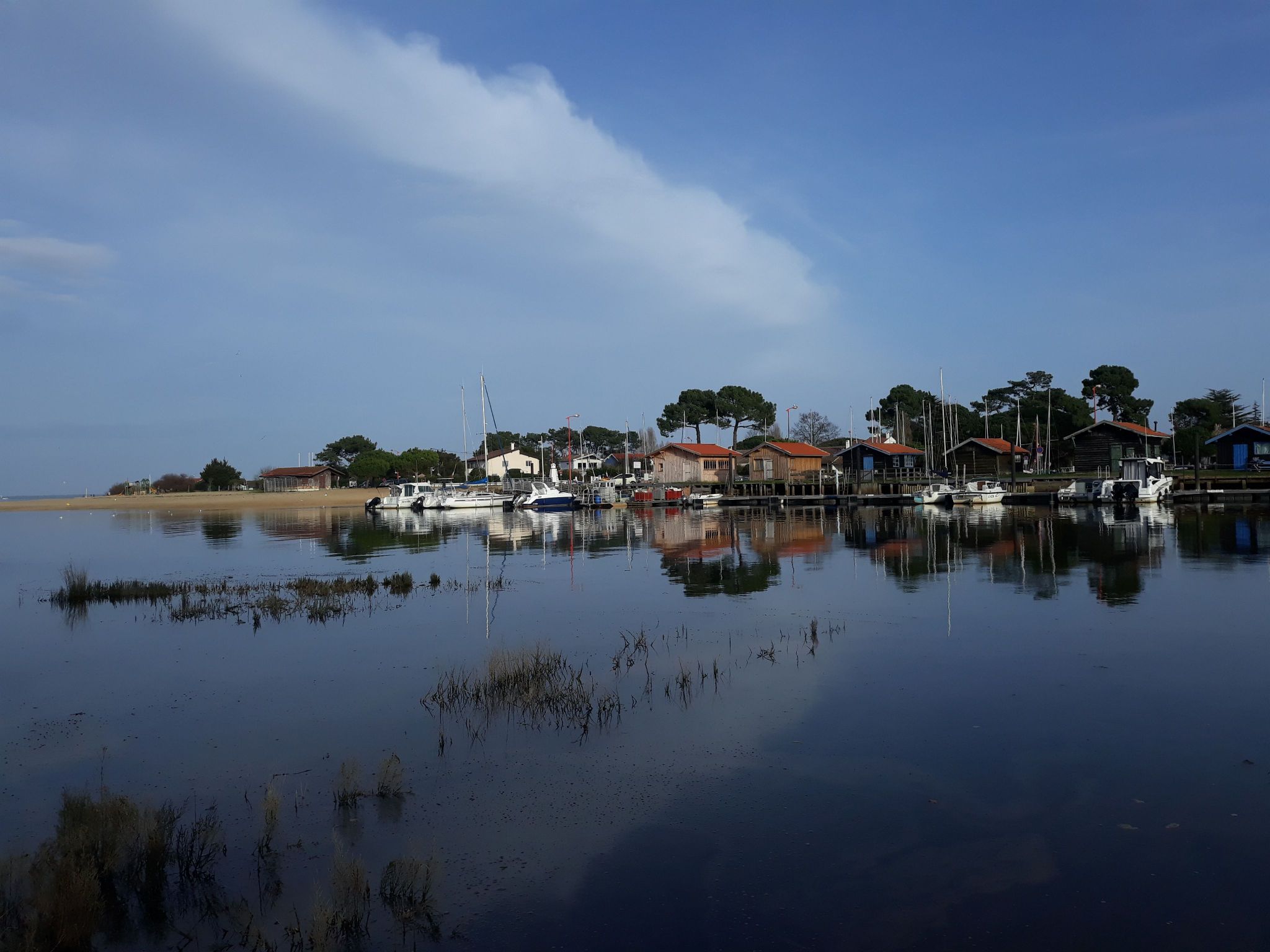 Randonnée Marche à LA TESTEDEBUCH les prés salés est la Teste de Buch SityTrail