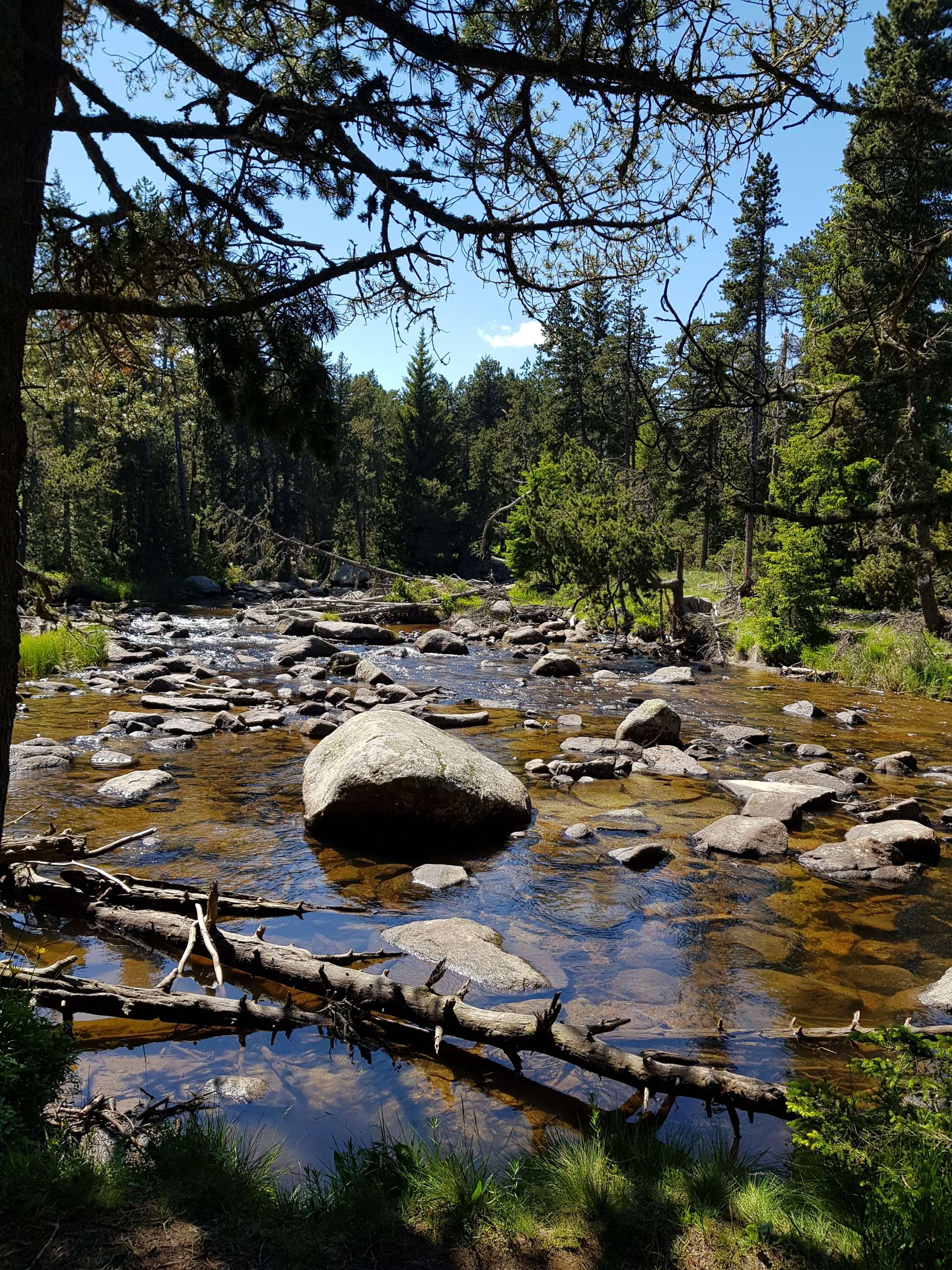 Le Petit Canada - Pla De Barrès Font Romeu
