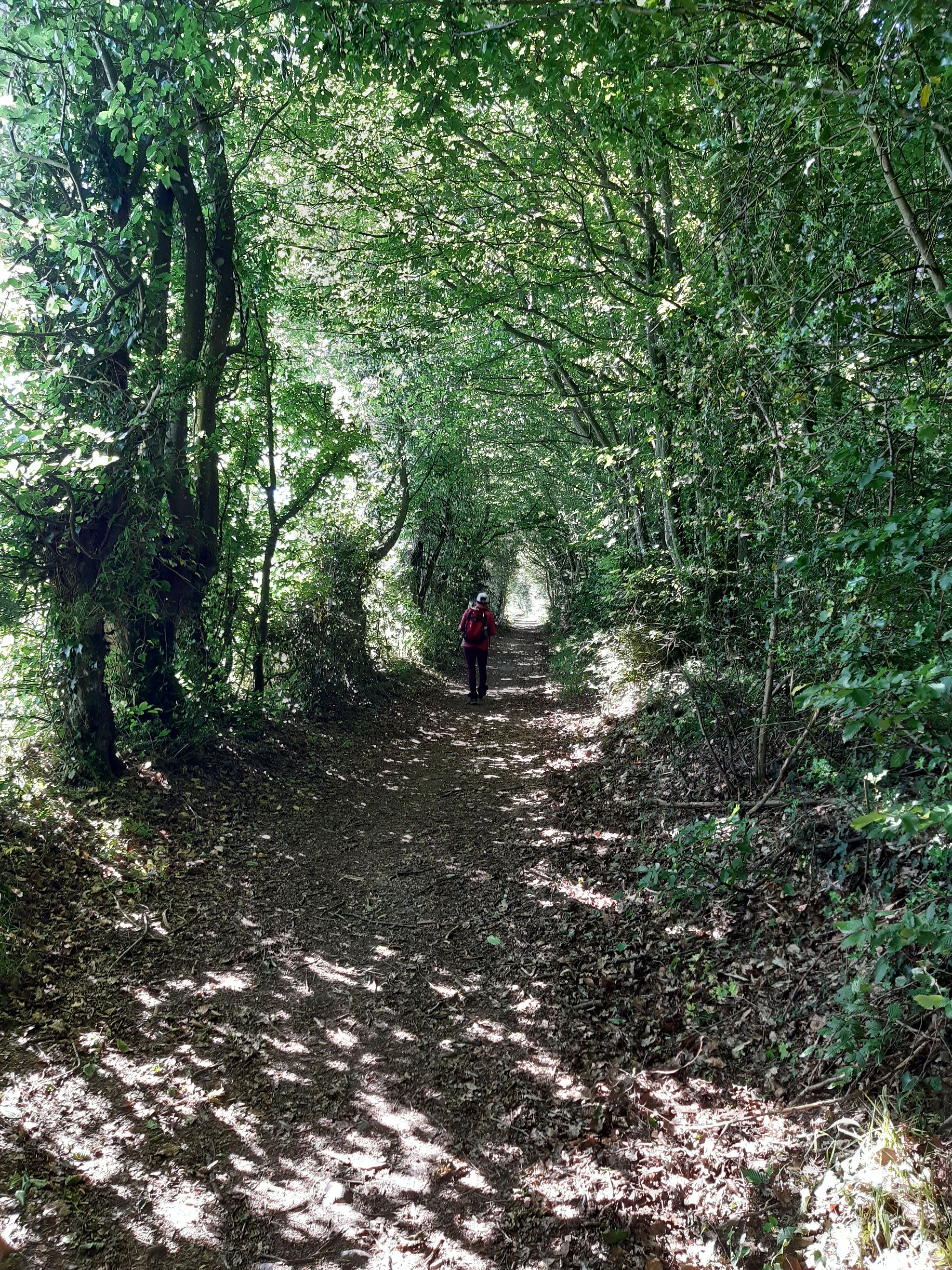 Randonnée Marche à FerrièresSaintHilaire ferrière st hilaire SityTrail