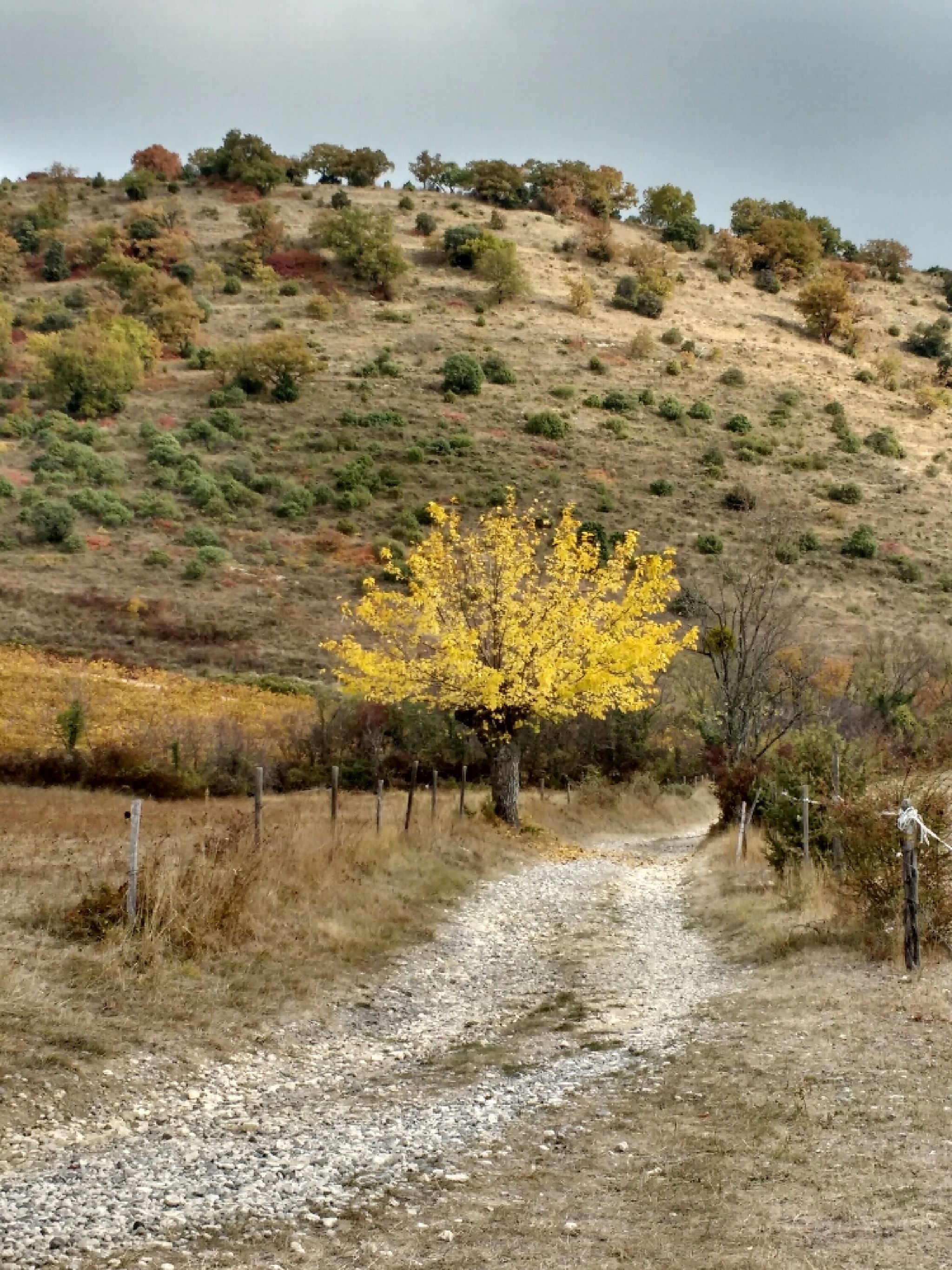 Trail Walk At Alba La Romaine Tce Alba 16 10 17 Sitytrail