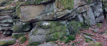 Point d'intérêt Fontainebleau - I - Rocher Oudry - Photo