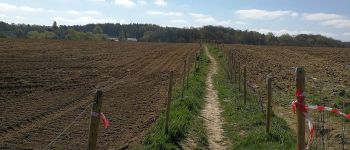 Punto de interés Braine-le-Château - Sentier réhabilité (Belle initiative) - Photo