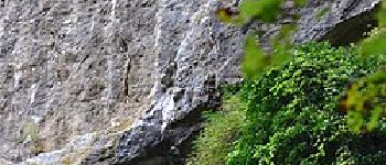 Punto di interesse Flémalle - Grotte Schmerling - Photo