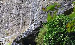Point of interest Flémalle - Grotte Schmerling - Photo