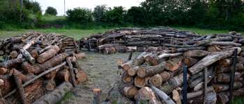 POI Havelange - Unnamed POI - Photo