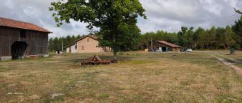 POI Linxe - plancha - Photo