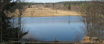 Point d'intérêt Butgenbach - Etang du Schwarzbach - Photo