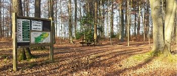 Punto de interés Theux - Picnic table (Sol cress)  - Photo