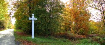 Point d'intérêt Saint-Jean-aux-Bois - Point 39 - Photo