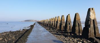 Point of interest  - Cramond Causeway - Photo