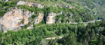 Point of interest Gorges du Tarn Causses - point de vue  - Photo