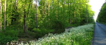 Point d'intérêt Saint-Léger-aux-Bois - Point 2 - Photo