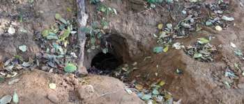 Point d'intérêt Blegny - Terriers de blaireaux - Photo