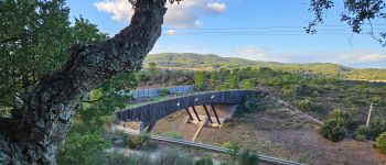 POI Pignans - Pont pour animaux sur A57 - Photo