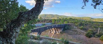 Point d'intérêt Pignans - Pont pour animaux sur A57 - Photo