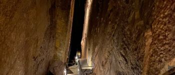 Point d'intérêt Hotton - Les Grottes de Hotton - Photo