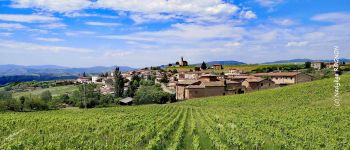 POI Val d'Oingt - Panorama sur le village de Saint-Laurent d'Oingt - Photo