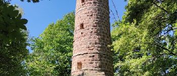 Point d'intérêt Bœrsch - Tour du Heidenkopf - Photo