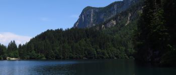 Point d'intérêt Ville d'Anaunia - Lago di Tovel - Photo