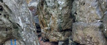Punto di interesse Fontainebleau - Unnamed POI - Photo
