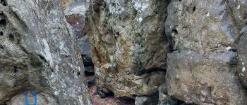 Point of interest Fontainebleau - Unnamed POI - Photo