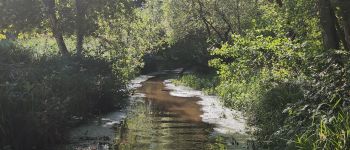 Punto di interesse Ingwiller - Unnamed POI - Photo