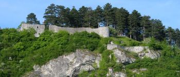 POI Yvoir - Les Ruines de la forteresse de Poilvache - Photo