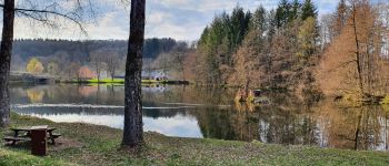 Punto de interés Habay - Etang de Bologne - Photo