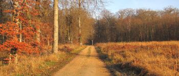 Point d'intérêt Saint-Crépin-aux-Bois - Point 5 - Photo