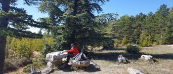 Punto de interés Saint-Saturnin-lès-Apt - Aire de pique-nic - Photo