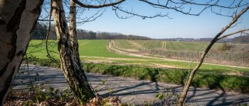 Point d'intérêt Court-Saint-Étienne - Plateau de la Quenique - Photo