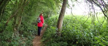 Point of interest Genappe - Vues sud-ouest dans de le Sentier de la Waronche et de Houtain - GRP 127 - Photo