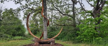 Point of interest Somme-Leuze - SENTIERS D'ART - Le chemin des 4 lunes - Photo