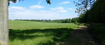 POI Chaumont-Gistoux - Vue sur le Fond des Malades - Photo