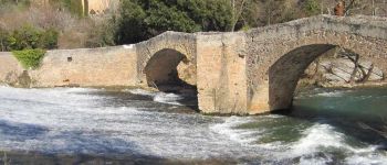 POI Vins-sur-Caramy - pont medieval-vins sur caramy - Photo