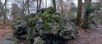 Point d'intérêt Fontainebleau - Éponge  - Photo