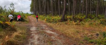 POI Linxe - pâté - Photo