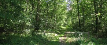 Point d'intérêt Vieux-Moulin - Point 2 - Photo