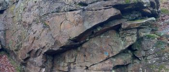 Point d'intérêt Fontainebleau - M - Photo