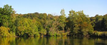 Punto de interés Saint-Crépin-aux-Bois - Point 15 - Photo