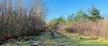 Point d'intérêt Saint-Jean-aux-Bois - Point 23 - Photo
