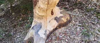 Punto di interesse Érezée - Unnamed POI - Photo