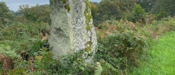 Point of interest Saint-Priest-la-Feuille - Menhir  - Photo