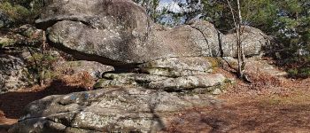 Point of interest Fontainebleau - cachalot ou saurien ? - Photo