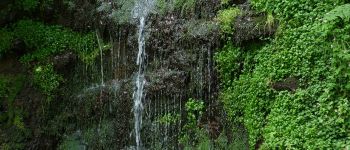 POI La Bourboule - CASCADE  - Photo