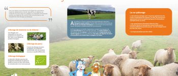 Point d'intérêt Vielsalm - Diversifier les élevages - Photo