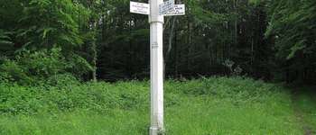 Point d'intérêt Le Plessis-Brion - Point 16 - Photo