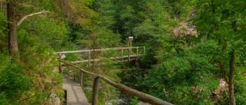 Point d'intérêt Malmedy - passerelle sur le tros maret  - Photo